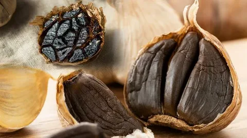 تصویر 3 از سیر سیاه اهواز ستاره دخت + تولید منطقه گرمسیری با تخمیر قوی